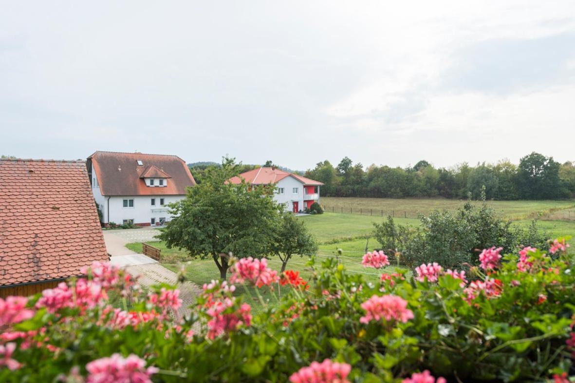 Gasthaus-Pension Hofmann Oberdachstetten Kültér fotó